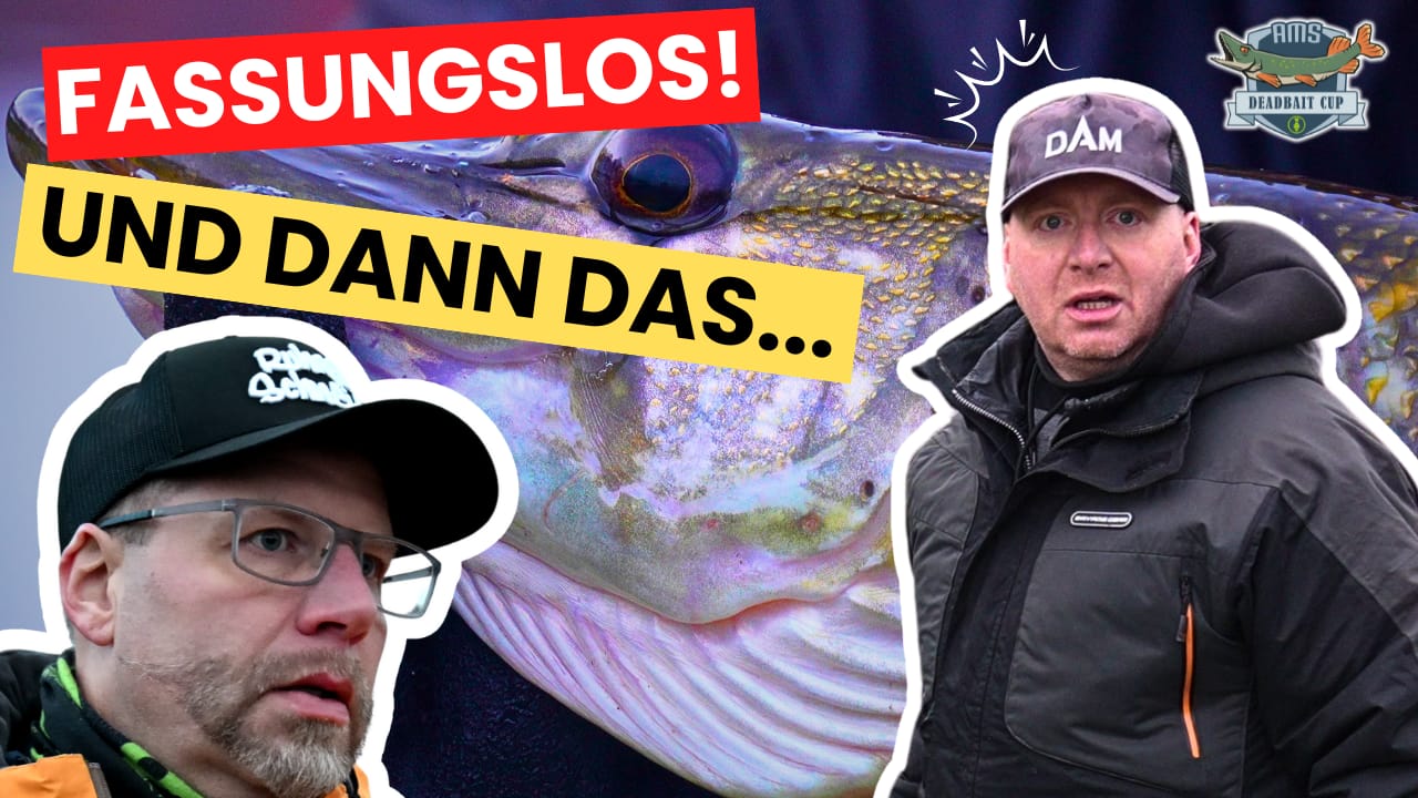🎣 AMS Deadbait Cup – Neue Folge online: Spannung, Emotionen und verlorene Fische!