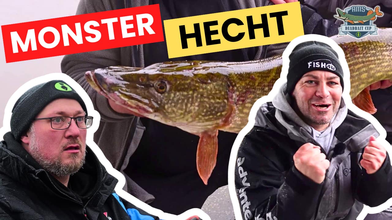 Neue Folge online: Hecht-Alarm in letzter Minute!