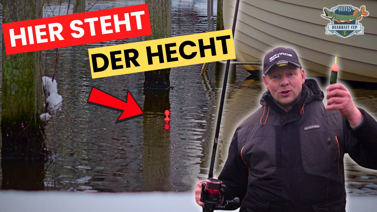 Wo steht der Hecht? – Nervenkitzel am Wasser bei Folge #5 des AMS Deadbait Cup