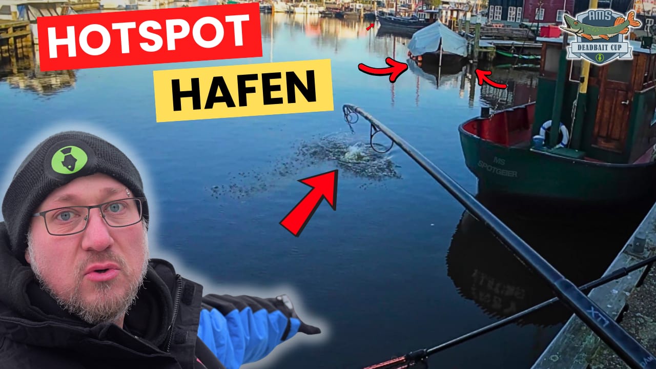 AMS Deadbait Cup – Das große Finale ist online!