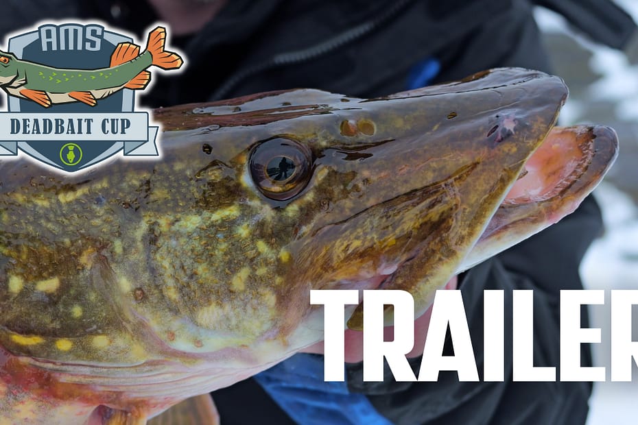 AMS Deadbait Cup - Trailer zur Staffel 2