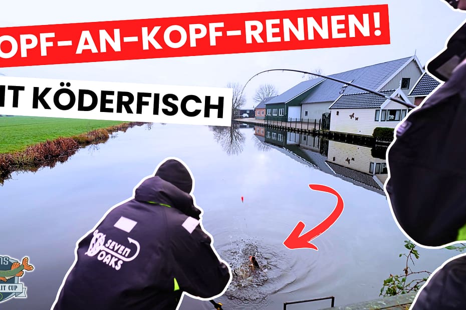 AMS Deadbait Cup Staffel 2 - Folge 1